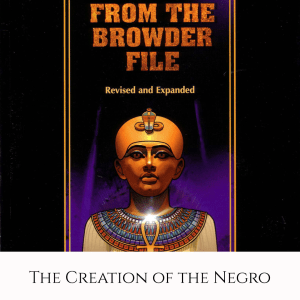 Stories FBF Negro Cover Photo